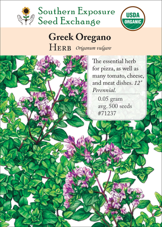 71237 Greek Oregano