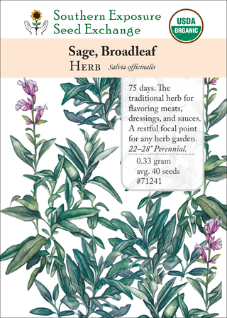 71241 Broadleaf Sage