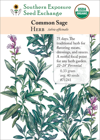 71241 Common Sage