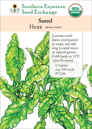 71246 Sorrel