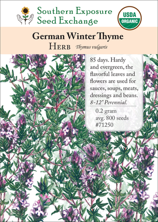 71250 German Winter Thyme