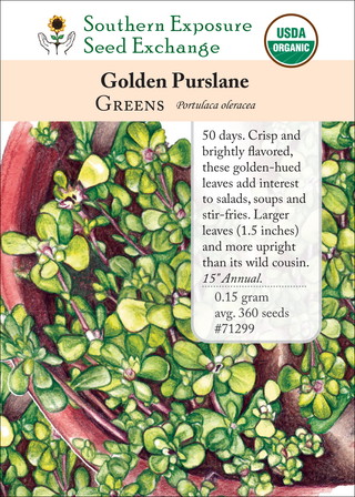 71299 Golden Purslane
