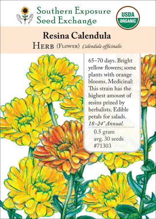 71303 Resina Calendula