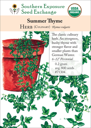 71304 Summer Thyme
