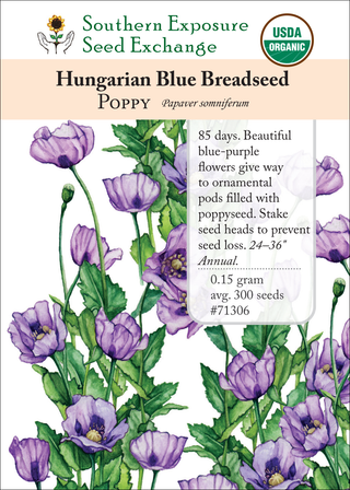71306 hungarian blue breadseed poppy flower