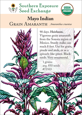 72103 mayo indian grain amaranth