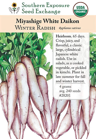28201 - Daikon, Miyashige White