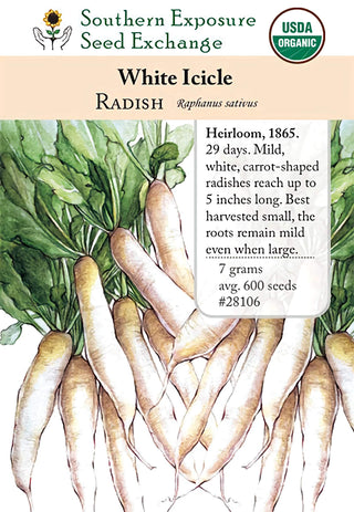 28106 - White Icicle (Lady Finger)