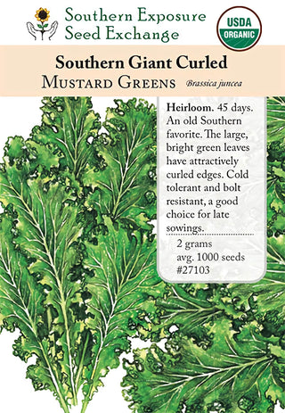 27103 - Southern Giant Curled