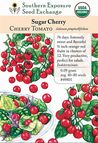 49801 - Sugar Cherry