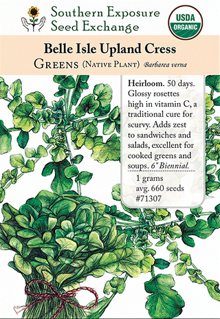 71307 - Belle Isle (Upland Cress)