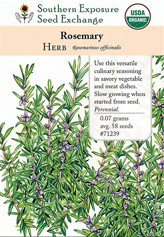 71239 - Rosemary