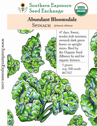 67107 - Abundant Bloomsdale