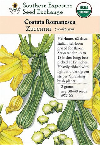 53120 - Costata Romanesca
