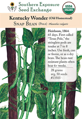 13503 - Kentucky Wonder (Old Homestead)