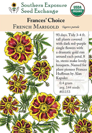 01153 - Marigold, Frances's Choice