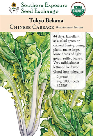 22505 - Tokyo Bekana