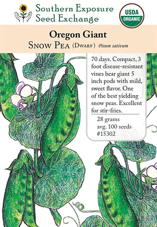 15302 - Oregon Giant