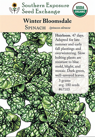 67103 - Winter Bloomsdale