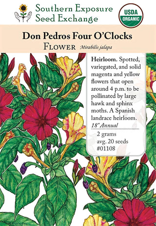01108 - Four O'Clocks, Don Pedros Mixed Colors