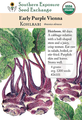 26101 - Early Purple Vienna