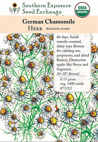 71212 - Chamomile, German