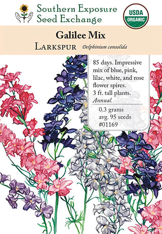 01169 - Larkspur, Galilee Mix