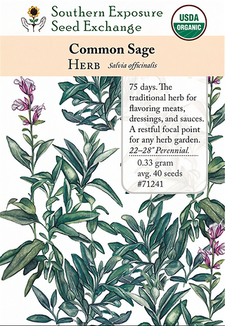 71241 - Sage, Broadleaf