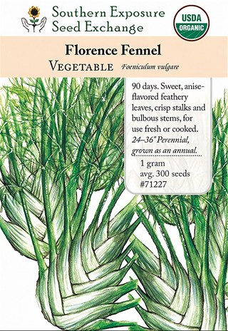 71227 - Fennel, Florence