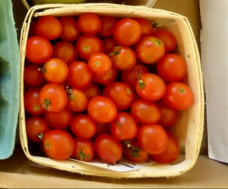 49136 - Red Cherry (Old Fashioned Red)
