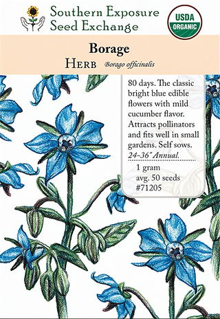 71205 - Borage