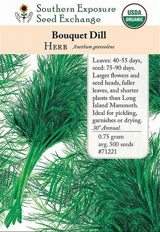71221 - Dill, Bouquet
