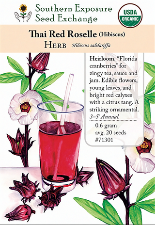 71301 - Roselle, Thai Red