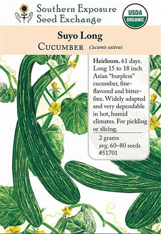 51701 - Suyo Long