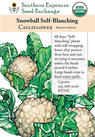 23102 - Snowball Self-Blanching