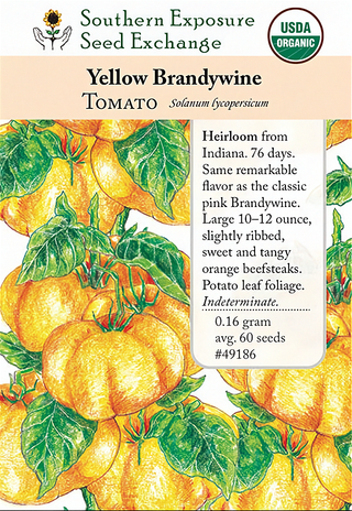 49186 - Brandywine, Yellow