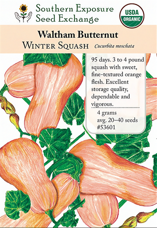53601 - Waltham Butternut