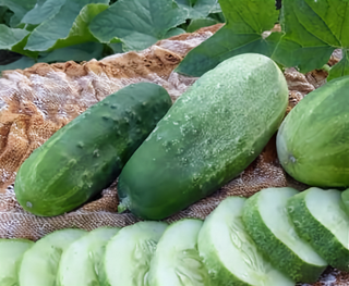 51504 - Homemade Pickles