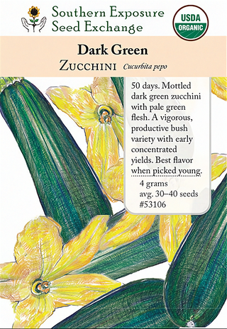 53106 - Zucchini, Dark Green