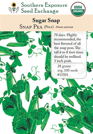 15501 - Sugar Snap Tall