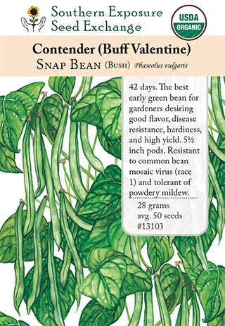 13103 - Contender (Buff Valentine)