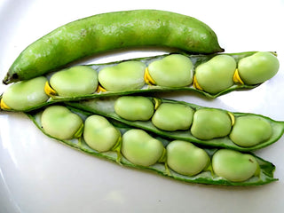 11201 - Broad Windsor