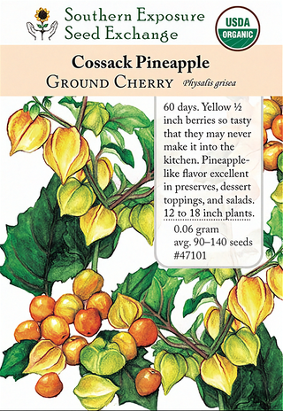 47101 - Cossack Pineapple
