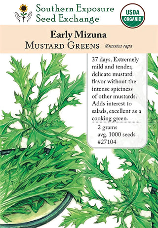 27104 - Mizuna, Early