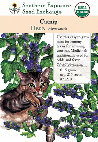 71210 - Catnip