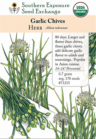 71215 - Chives, Garlic