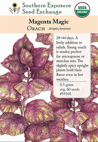59101 - Magenta Magic