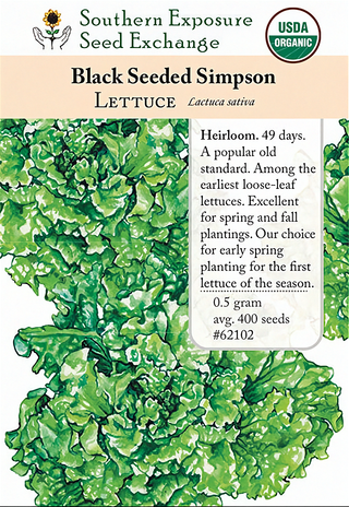 62102 - Black-Seeded Simpson