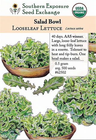 62502 - Salad Bowl