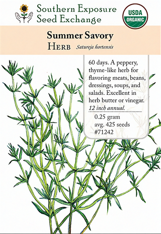 71242 - Savory, Summer